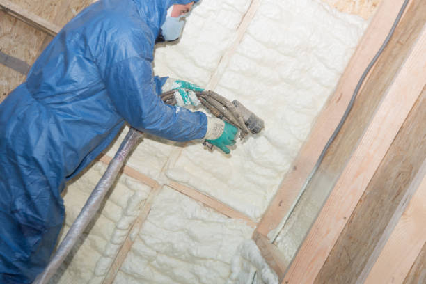 Best Blown-In Insulation  in Brilliant, AL